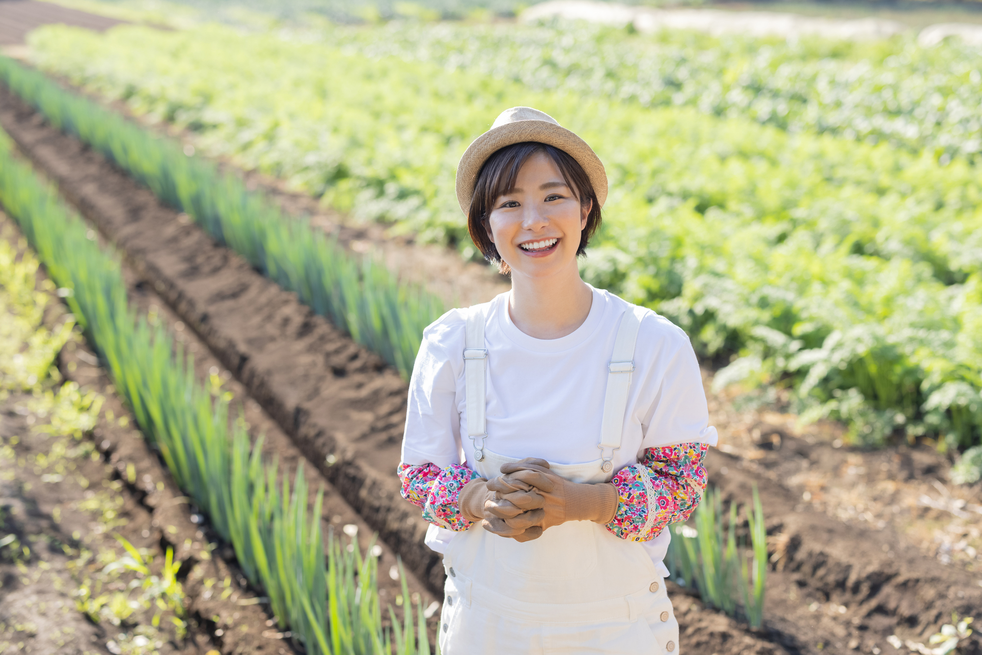 農業(いちご・とまと)及び接客販売
