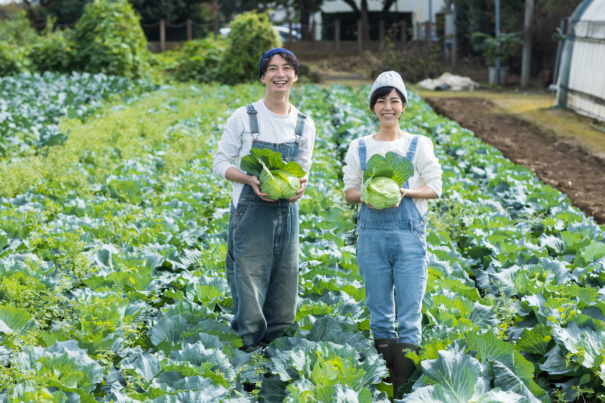 現場管理業務（正職員）